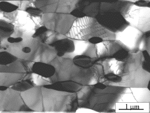 tempered bainite